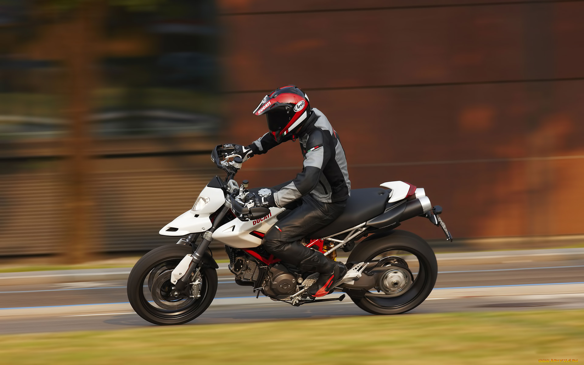 , ducati